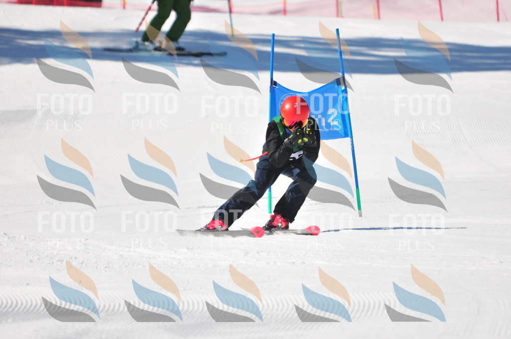 C3908 | holidayphoto