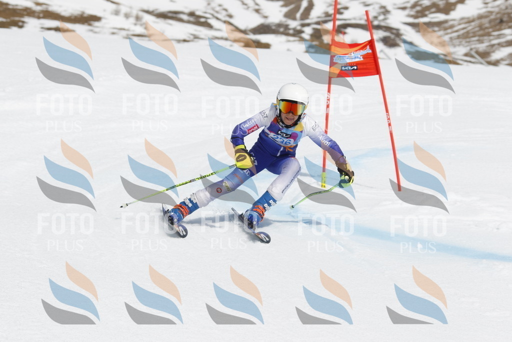 _U3G2622 | holidayphoto