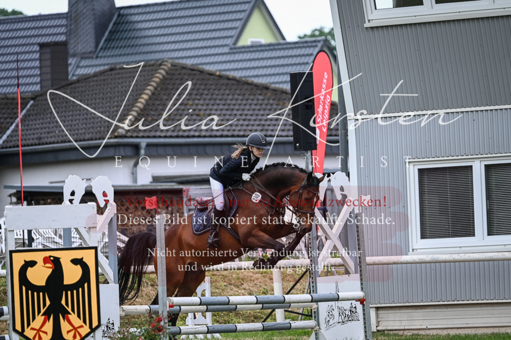 DSC_8460 | Pferde- und Turnierfotografie in Westsachsen. Pferdeportraits, Auftragszeichnungen und intuitive Kunst.