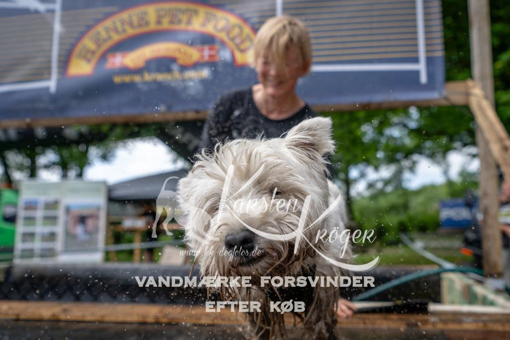 1127_ZZ94469 | kk-dogfotos