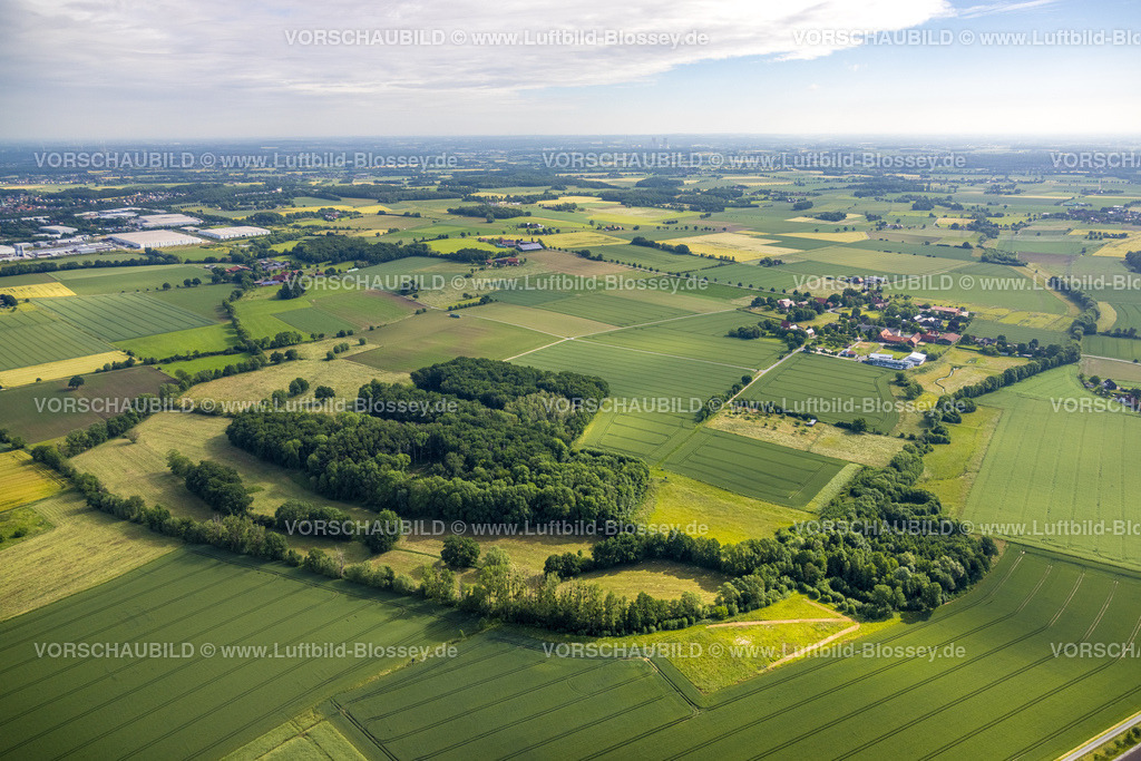 Hamm220602102 | Luftbild, Waldgebiet mit Bewerbach, Ortsansicht Unterallen, Wiesen und Felder mit Fernsicht, Rhynern, Hamm, Ruhrgebiet, Nordrhein-Westfalen, Deutschland
