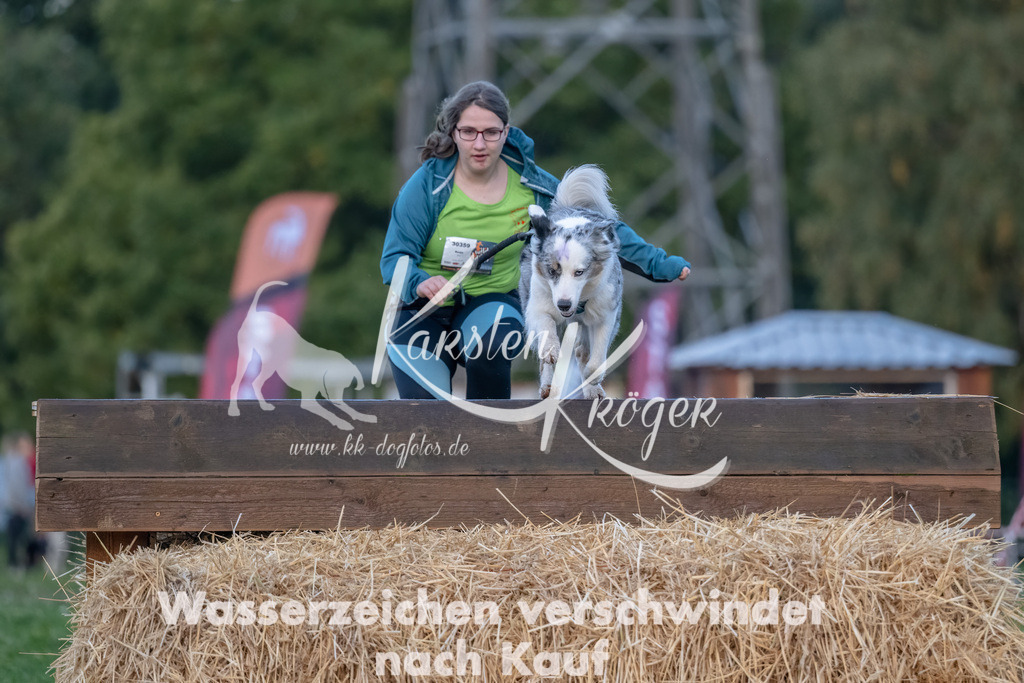 0803_ZZ94087-Bearbeitet | kk-dogfotos