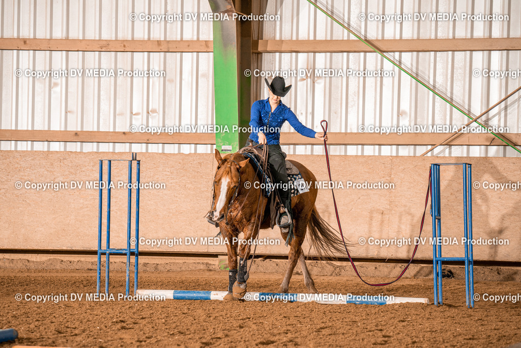 BAL00560 | dv-media-shop - Realisiert mit Pictrs.com