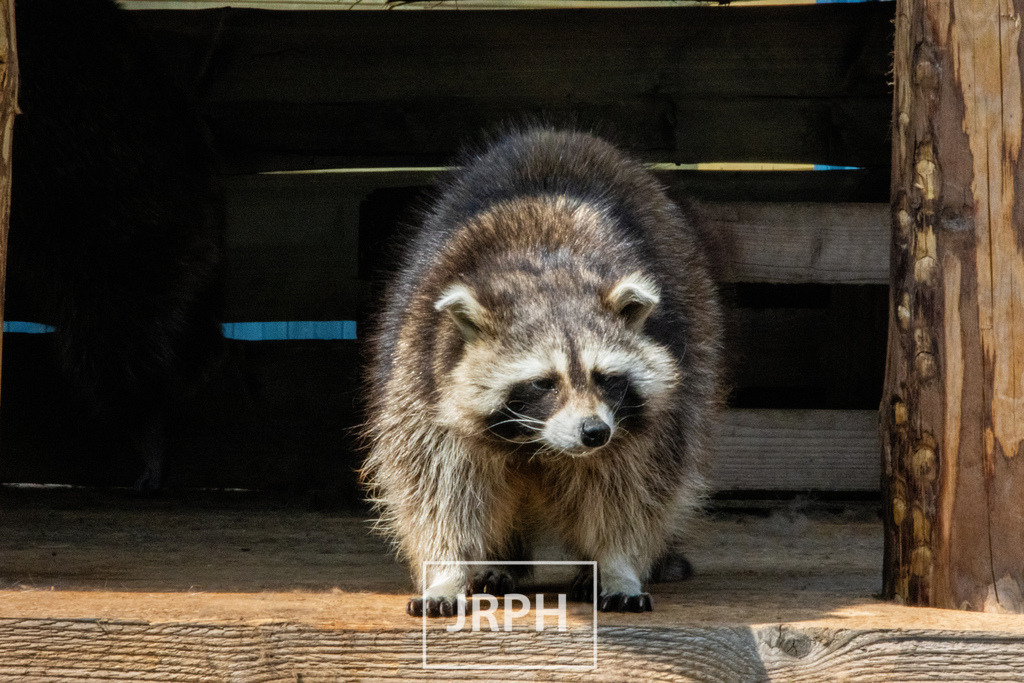 IMG_7535 | jrph - Realisiert mit Pictrs.com