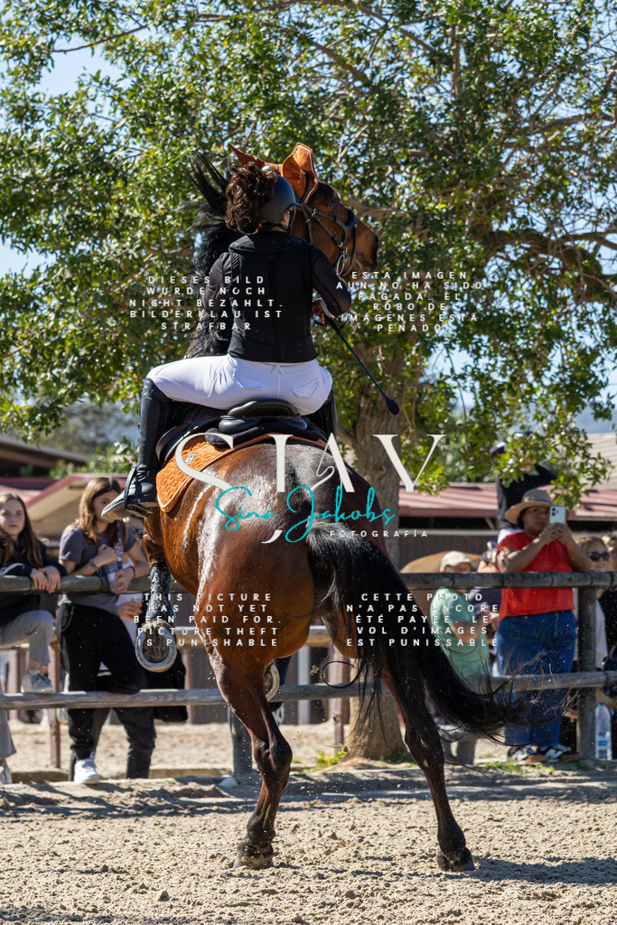 IMG_0041 | s-jay-photography - Realisiert mit Pictrs.com