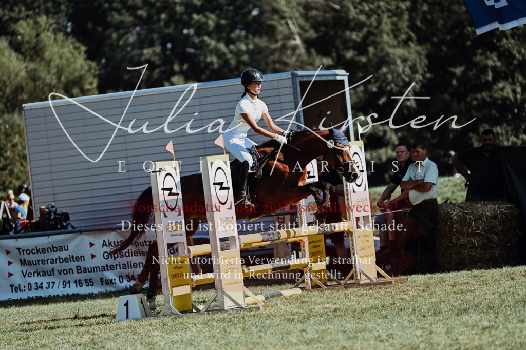 DSC_6688 | Pferde- und Turnierfotografie in Westsachsen. Pferdeportraits, Auftragszeichnungen und intuitive Kunst.