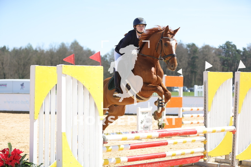 0P6A0517 | Willkommen bei Brunnmayr - Design & Fotografie – Ihrem Spezialisten für Reitturniere und Pferdeveranstaltungen in Oberösterreich, Salzburg und Bayern! Seit über 17 Jahren sind wir leidenschaftlich dabei.