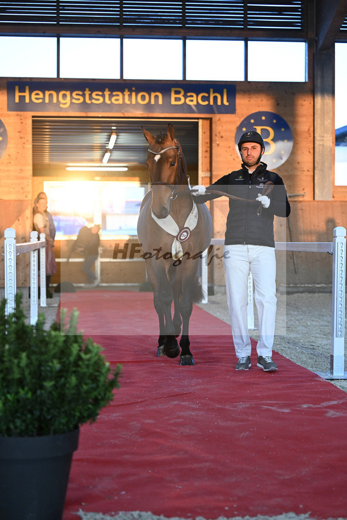 Chaplins Touch B_5250790 | hf-fotografie - Realisiert mit Pictrs.com