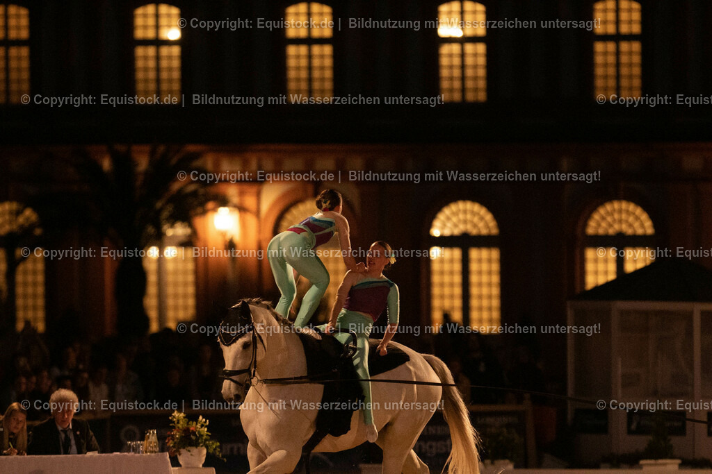 20230527_Voltigieren_NASPA_Flutlicht_0907 | equistock