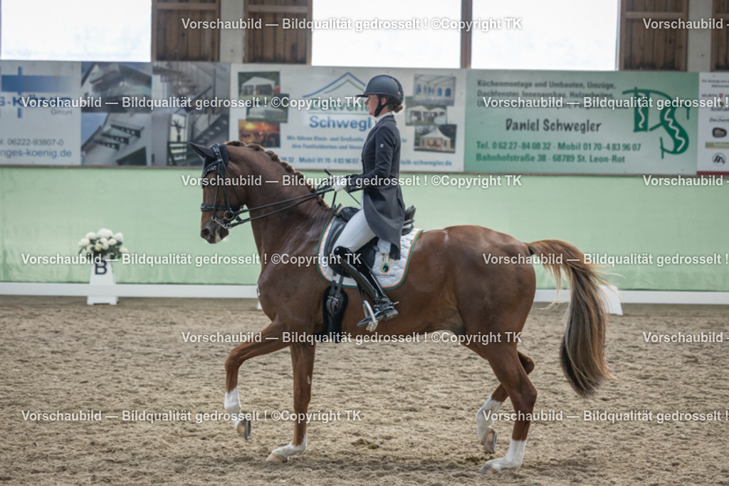 _D5A6470 | Emotionale Pferde- & People-Fotografie rund um Heidelberg, Leimen & Umgebung. Natürliche Fotos von Pferd, Mensch & Familie. Jetzt Termin sichern!