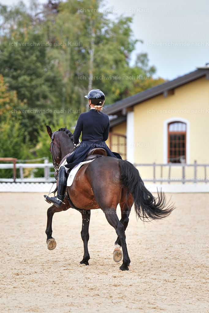 11-066-Dressur S___-Marixx-1645 | working equitationturnier fotograf videograf stoibphotography marixx film working equitation deutschland reitsport turnierfotografie eventfotografie equestrian events