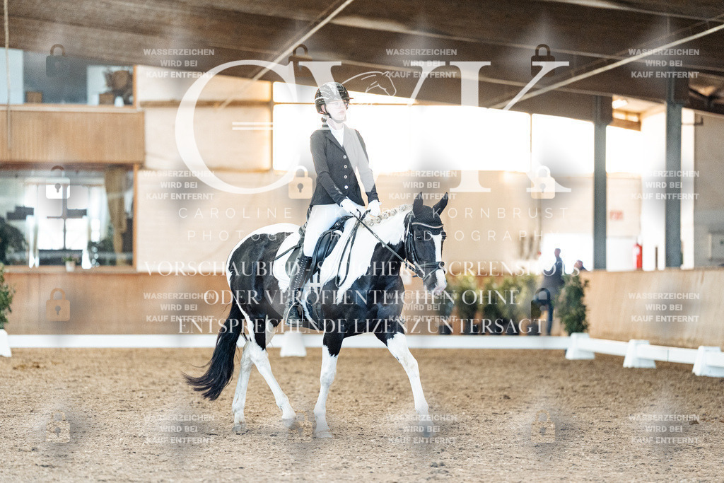 CK907612 | Turnierfotografie Pferdefotografie Trier Rheinland-Pfalz Pferdesport Reitsport Tierfotografie Sportfotografie Pferdevideo Pferdevideografie Equestrianvideography equestrianphotography  - Realisiert mit Pictrs.com