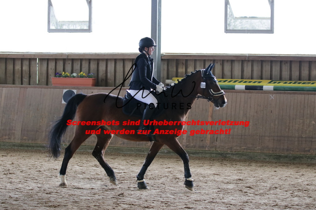 IMG_2457 | lmwpictures - Realisiert mit Pictrs.com