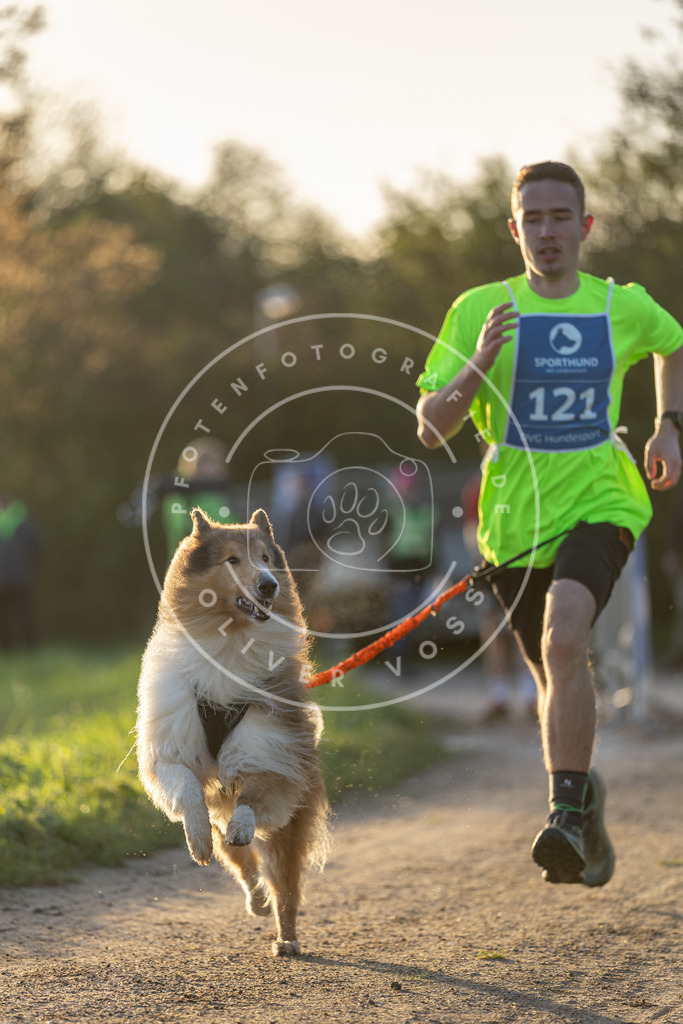 Pfotenfotografie.de_DV3A2380 | Hundefotografie, Tierfotograf, Pfotenfotografie, Fotoshooting Hund, Hunde Portrait, Hundesport, Hundeportraits, Heideshooting, Hunde, Sportfotograf, Hundefotograf, Turnierhundsport, THS, canicross - Realisiert mit Pictrs.com