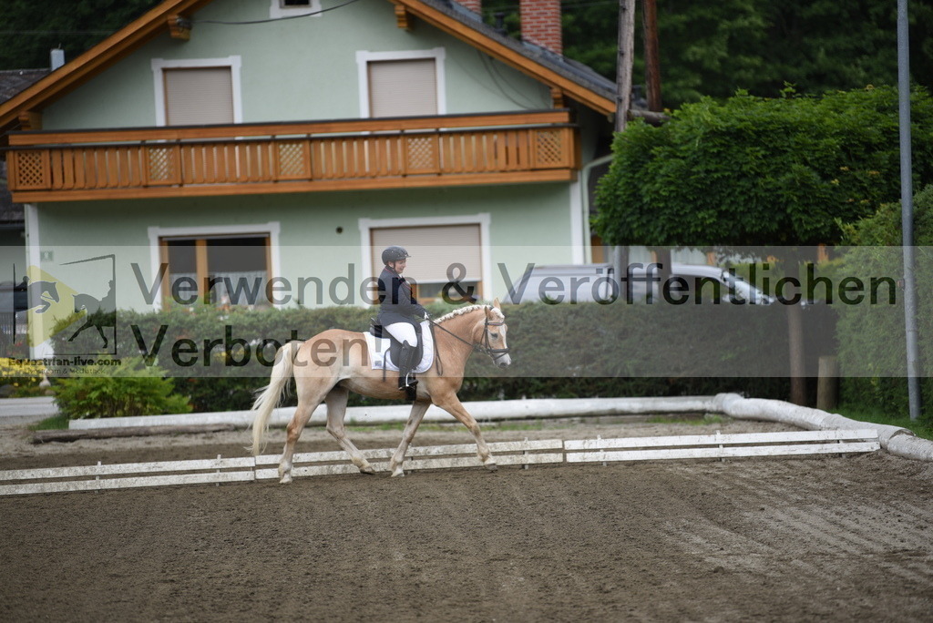 DSC_3693 | equestrian-live-com