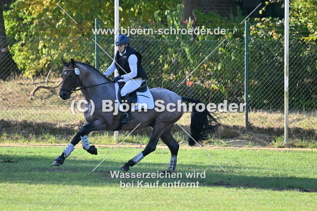 769_5098 | Björn Schroeder Pferdefotografie