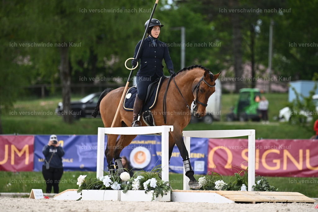 PI26_ST_Sara_Landvogt226_3221.JPG | working equitationturnier fotograf videograf stoibphotography marixx film working equitation deutschland reitsport turnierfotografie eventfotografie equestrian events