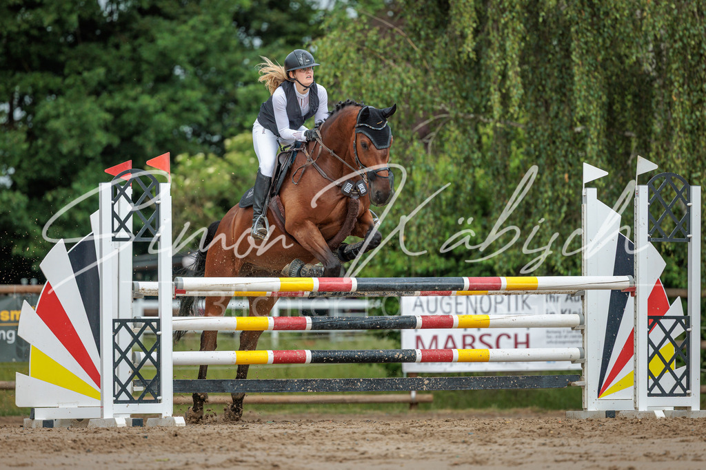 20260530-_3LI2573 | Tierfotografie Pferde, Hunde, Katzen, Haustiere.
Turnierfotografie Reitturniere, Reiten, Springreiten, Dressur in Hanau, dem Main-Kinzig-Kreis und dem Rhein-Main- Gebiet um Frankfurt