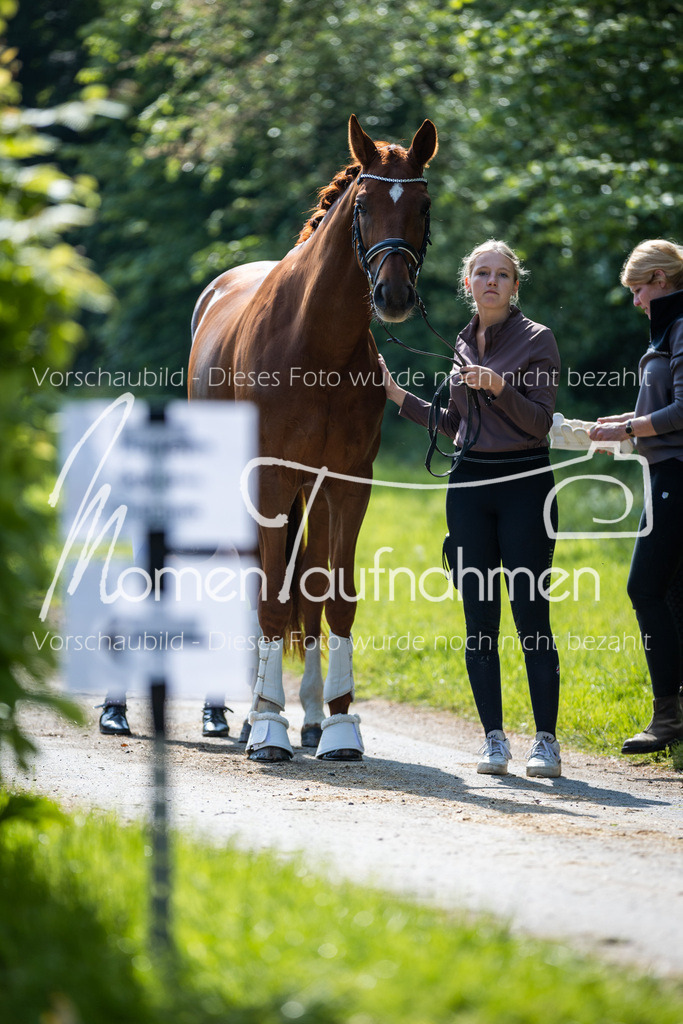 HH-Randmomente-007 | MomenTaufnahmen Pferdesportfotos