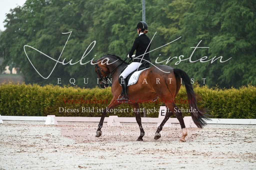 DSC_4569 | Pferde- und Turnierfotografie in Westsachsen. Pferdeportraits, Auftragszeichnungen und intuitive Kunst.