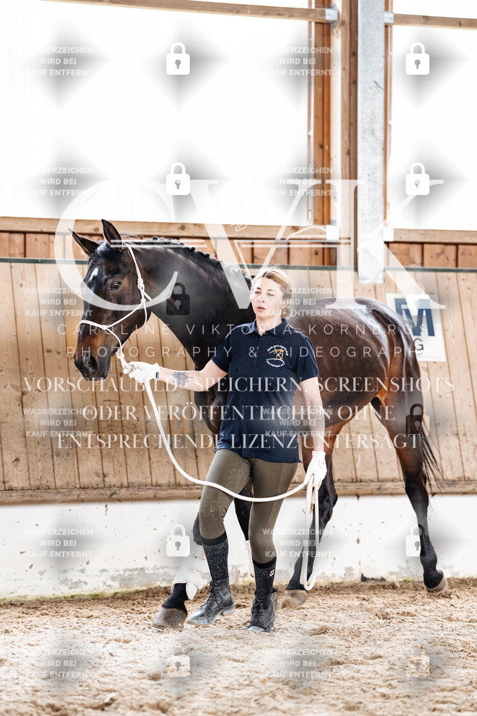 CK908105 | Turnierfotografie Pferdefotografie Trier Rheinland-Pfalz Pferdesport Reitsport Tierfotografie Sportfotografie Pferdevideo Pferdevideografie Equestrianvideography equestrianphotography  - Realisiert mit Pictrs.com