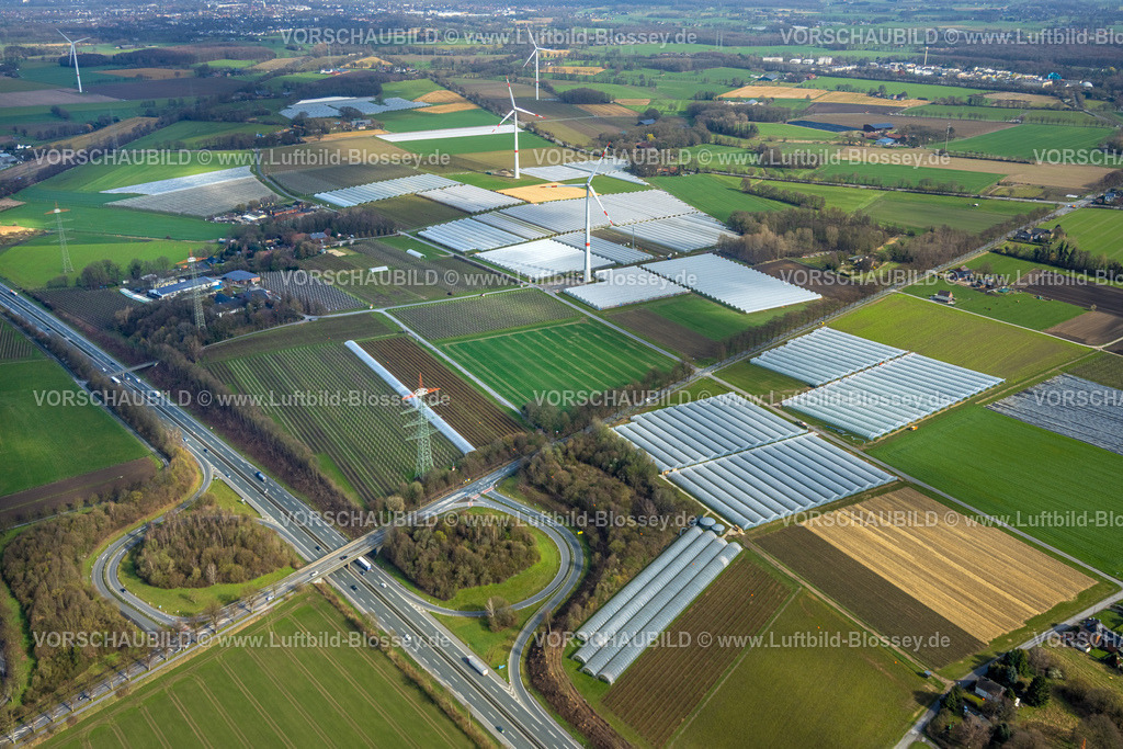 Bottrop260306517Kirchhellen | Luftbild, Schmücker Hof Landwirtschaftsbetrieb, Bromkamp Garten- und Landschaftsgestaltungs GmbH, Gewächshäuser Gewächshäuser Tunnelüberdachungen am Overhagener Feld, Autobahn A31 Anschlussstelle Bottrop-Kirchhellen, Windräder mit Wiesen und Feldern, Kirchhellen-Nord-Ost, Bottrop, Ruhrgebiet, Nordrhein-Westfalen, Deutschland