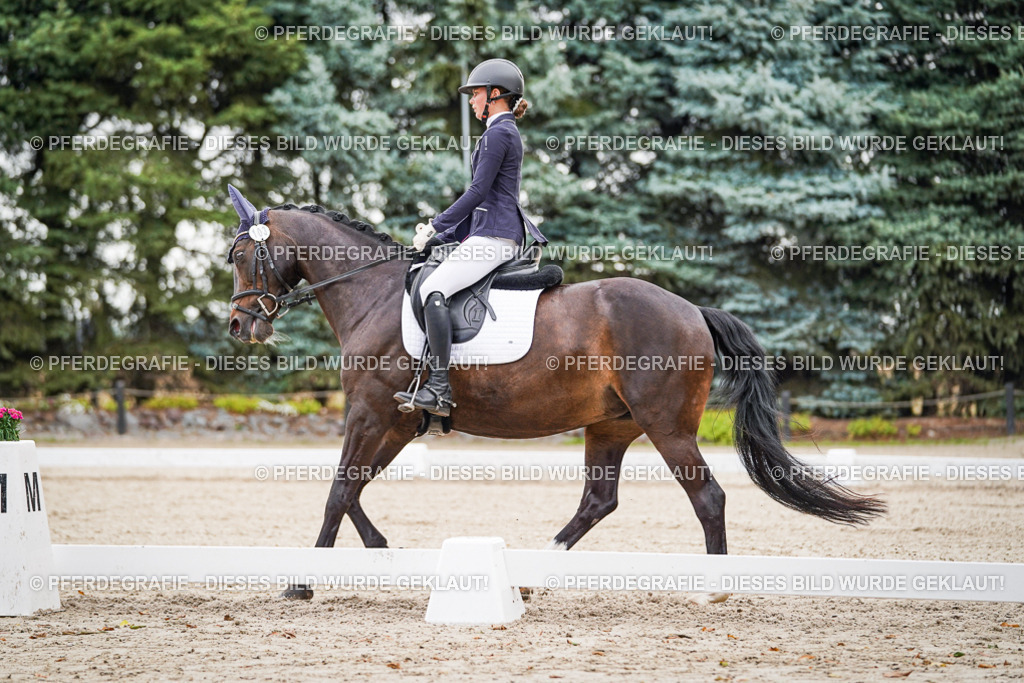 DSC01204 | Pferdegrafie