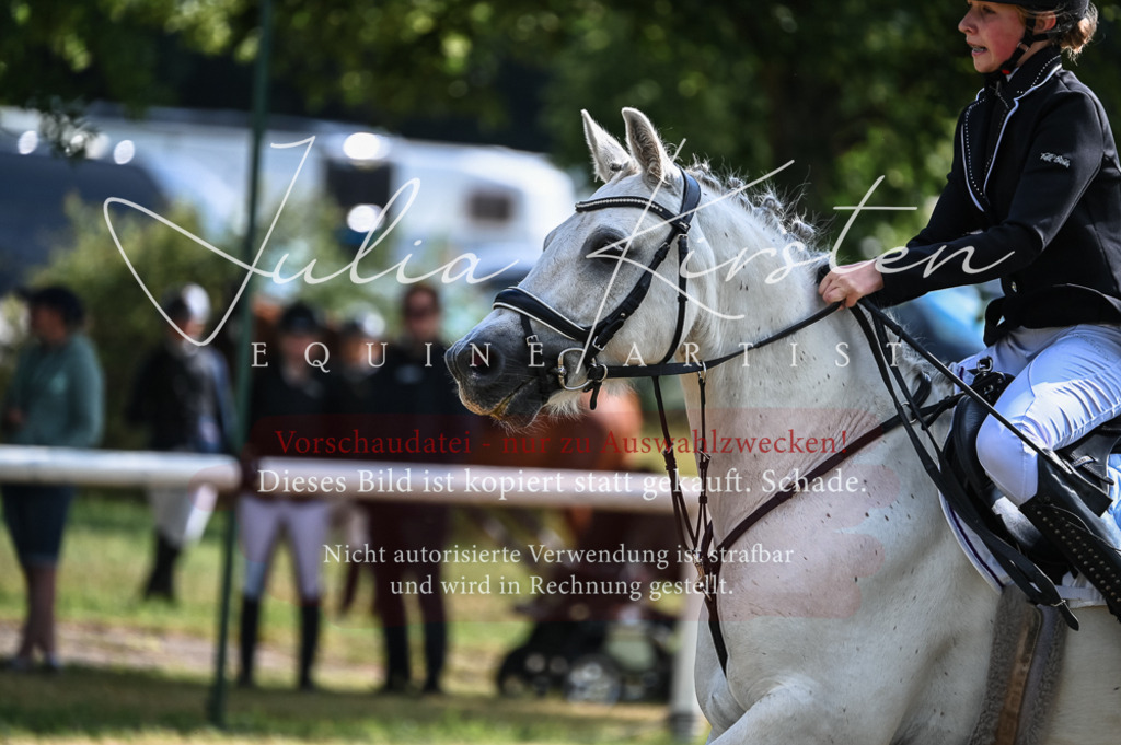 DSC_7729 | Pferde- und Turnierfotografie in Westsachsen. Pferdeportraits, Auftragszeichnungen und intuitive Kunst.