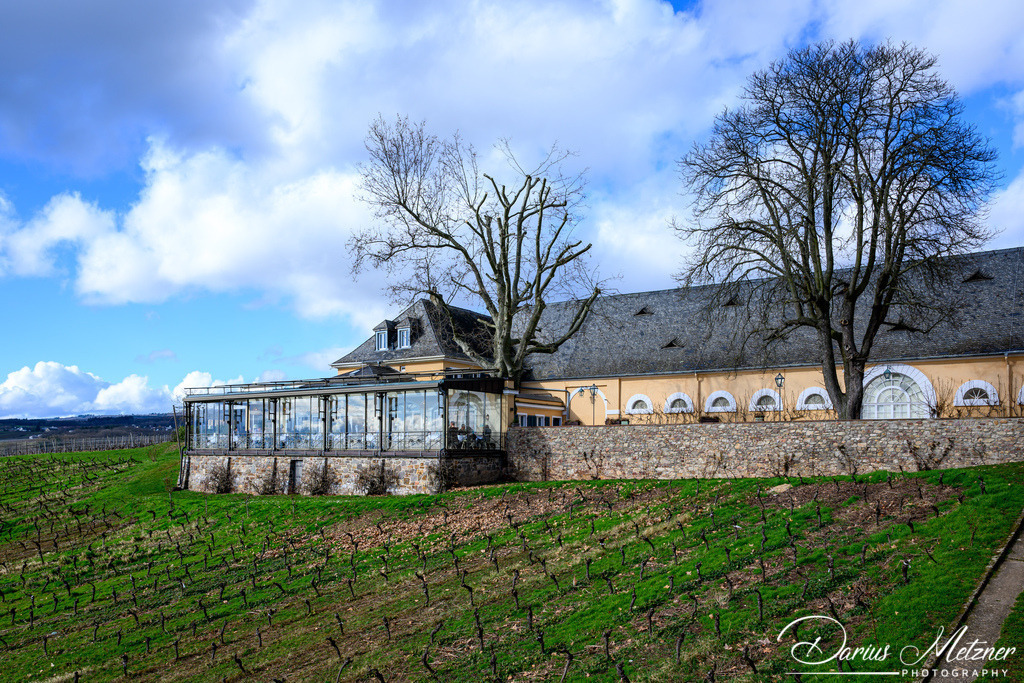 DSC_0553 | Fotografien, Fotos und Bilder aus Mainz, Frankfurt, Wiesbaden und anderen Orten auf der Welt - Fotografiert von Darius Metzner