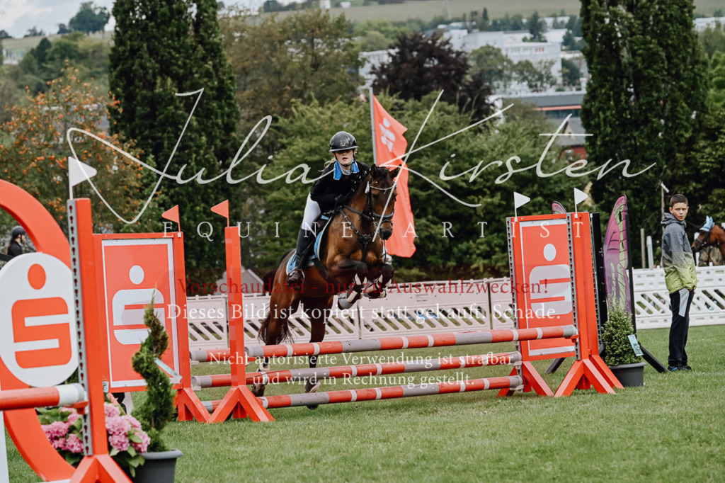 DSC_6757 | Pferde- und Turnierfotografie in Westsachsen. Pferdeportraits, Auftragszeichnungen und intuitive Kunst.