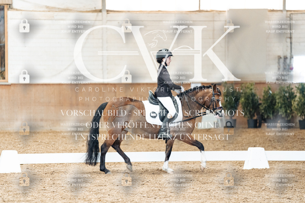CK900455 | Turnierfotografie Pferdefotografie Trier Rheinland-Pfalz Pferdesport Reitsport Tierfotografie Sportfotografie Pferdevideo Pferdevideografie Equestrianvideography equestrianphotography  - Realisiert mit Pictrs.com