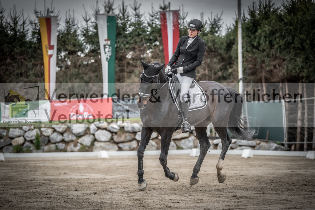 DSC_9303 | equestrian-live-com