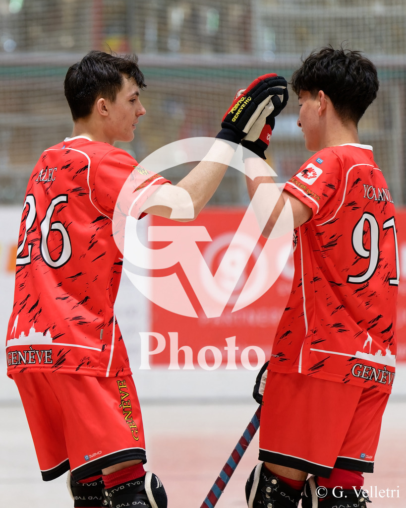 DSC_6581 | Velletri Photo