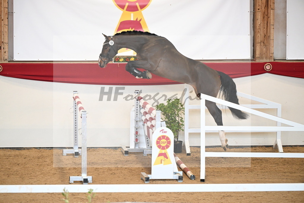 Kat.-Nr. 16 v. Cornet_s Balou_Laue_2251074 | hf-fotografie - Realizzato con Pictrs.com