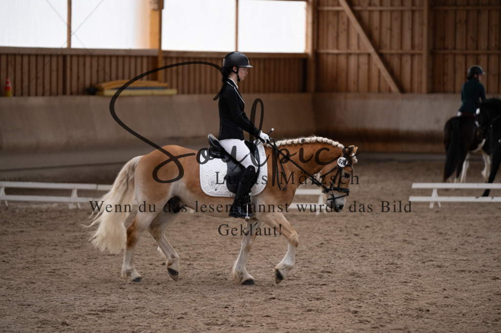 A7V09408 | Pferdefotograf