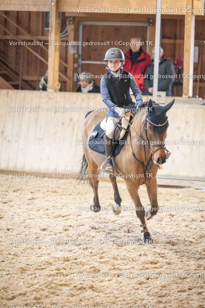 _D5A7962 | Emotionale Pferde- & People-Fotografie rund um Heidelberg, Leimen & Umgebung. Natürliche Fotos von Pferd, Mensch & Familie. Jetzt Termin sichern!