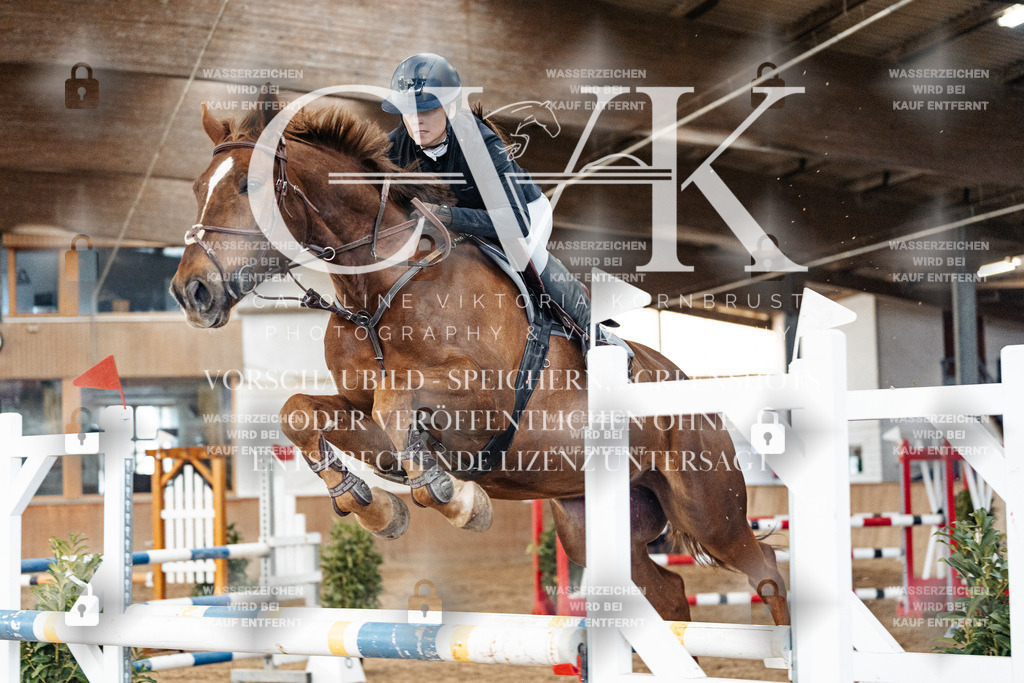 CK906182 | Turnierfotografie Pferdefotografie Trier Rheinland-Pfalz Pferdesport Reitsport Tierfotografie Sportfotografie Pferdevideo Pferdevideografie Equestrianvideography equestrianphotography  - Realisiert mit Pictrs.com