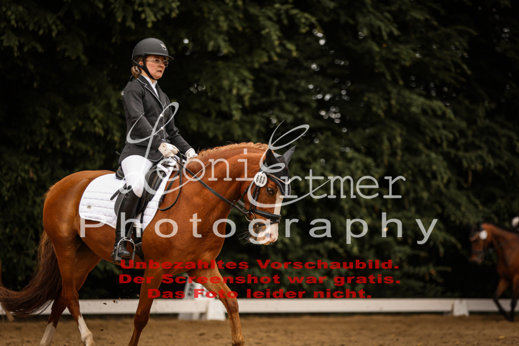 DoDrE00488 | Leoni Ertmer Photography - Realisiert mit Pictrs.com