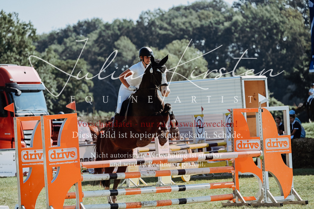 DSC_5894 | Pferde- und Turnierfotografie in Westsachsen. Pferdeportraits, Auftragszeichnungen und intuitive Kunst.