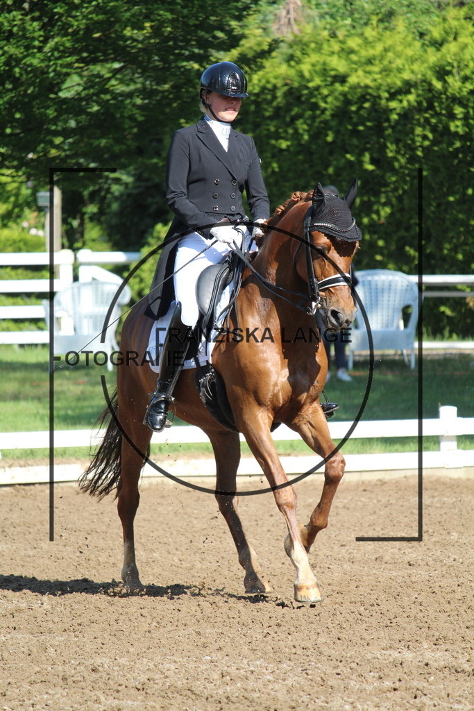 IMG_6460 | franziskalange - Realisiert mit Pictrs.com