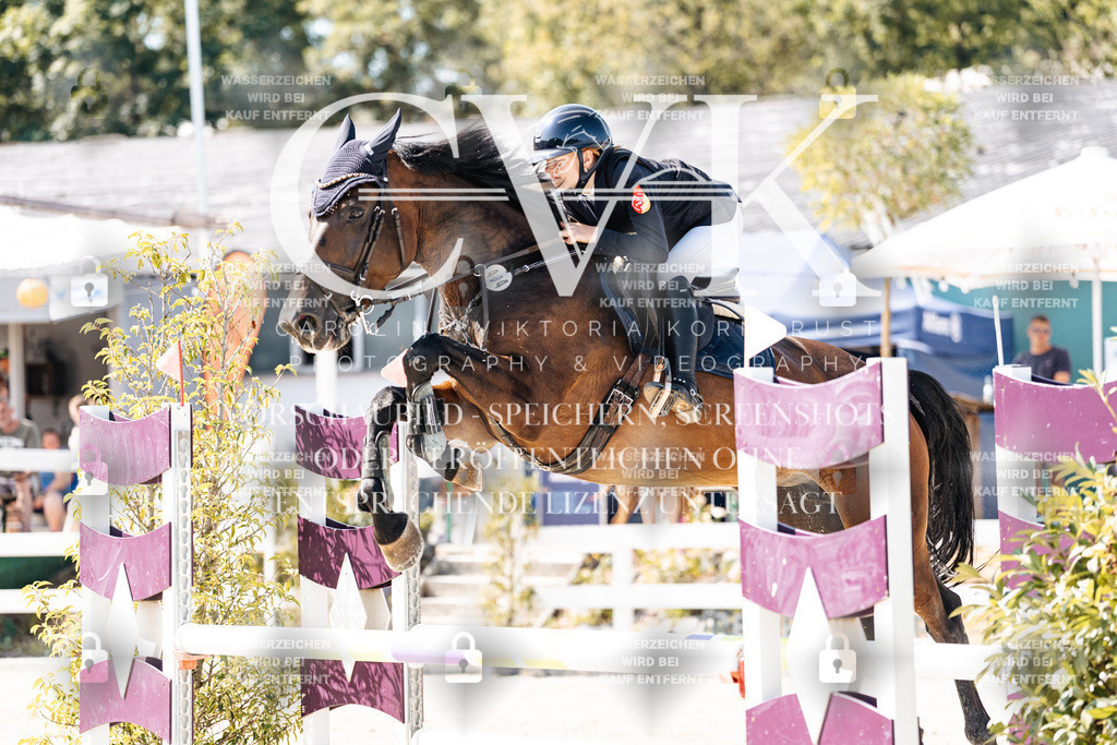 CK908538 | Turnierfotografie Pferdefotografie Trier Rheinland-Pfalz Pferdesport Reitsport Tierfotografie Sportfotografie Pferdevideo Pferdevideografie Equestrianvideography equestrianphotography  - Realisiert mit Pictrs.com
