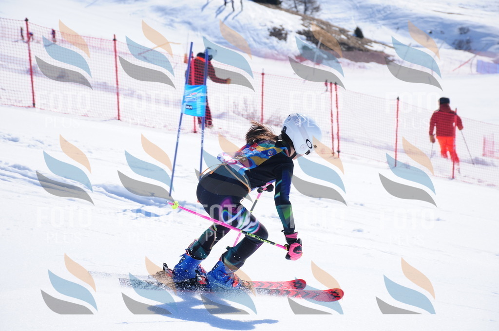 DSC_3948 | holidayphoto