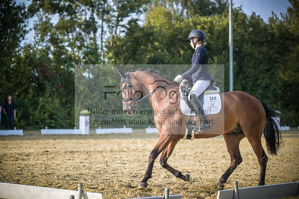 DOS_2028 | Entdecke hochwertige Reitturnierfotos von Foto Oger. Professionell, emotional und authentisch – jetzt Lieblingsmomente im Shop bestellen.Deutschlandweite Turnierfotografie. - Realisiert mit Pictrs.com