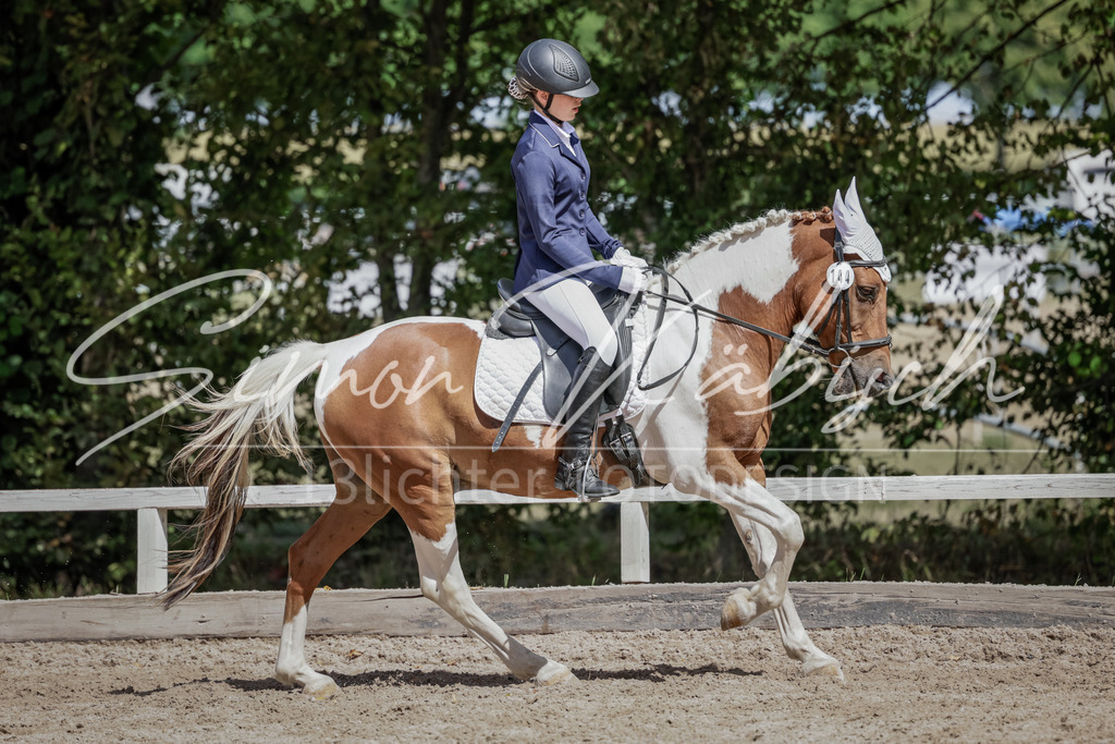 20250906-_3LI5542 | Tierfotografie Pferde, Hunde, Katzen, Haustiere.
Turnierfotografie Reitturniere, Reiten, Springreiten, Dressur in Hanau, dem Main-Kinzig-Kreis und dem Rhein-Main- Gebiet um Frankfurt