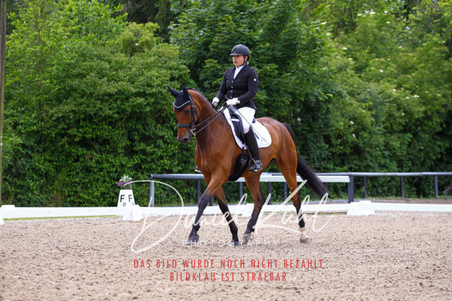 DKP41099 | Turnierfotos kaufen im Webshop von Daniel Kuhl Photography – entdecke professionelle Reitsportfotos aus Turnieren & Events. Hochwertige Turnierbilder online bestellen & sichern. Jetzt Fotos von Reitsportturnieren kaufen!