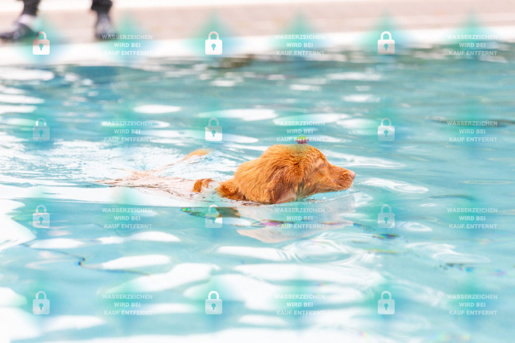 _HP_7213_1000o | HetPix, HetPix Fotodesign, Fotografie, Fotodesign, Webshop, Sportfotografie, Portraitfotografie, Onlineshop, Sportfotografie, Polch, Motorsportfotografie, Eventfotografie