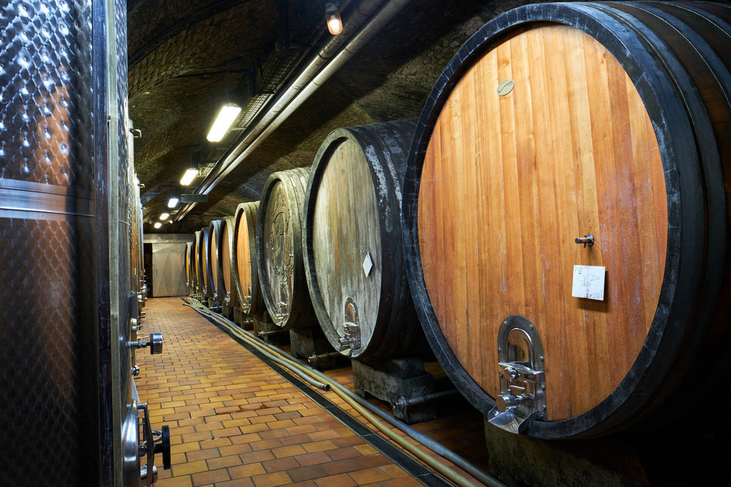 Stift Klosterneuburg | Niederösterreich, Austria - August 31, 2021; Stift Klosterneuburg; Edelstahltanks und Holzfass im Weinkeller. - Realisiert mit Pictrs.com