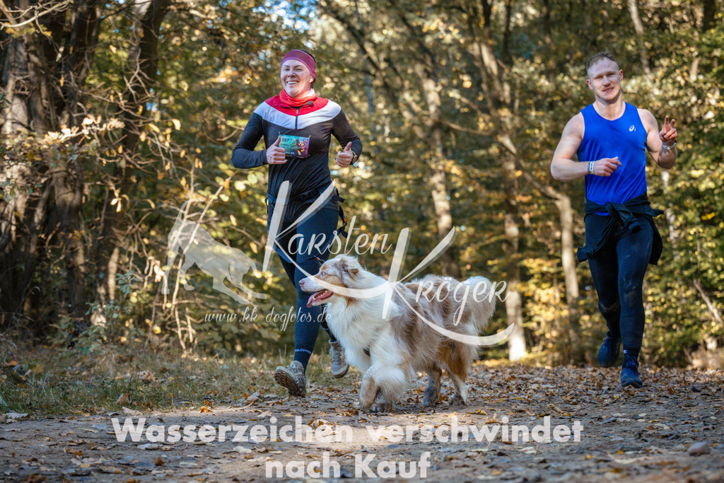 1100_ZZ91343 | kk-dogfotos