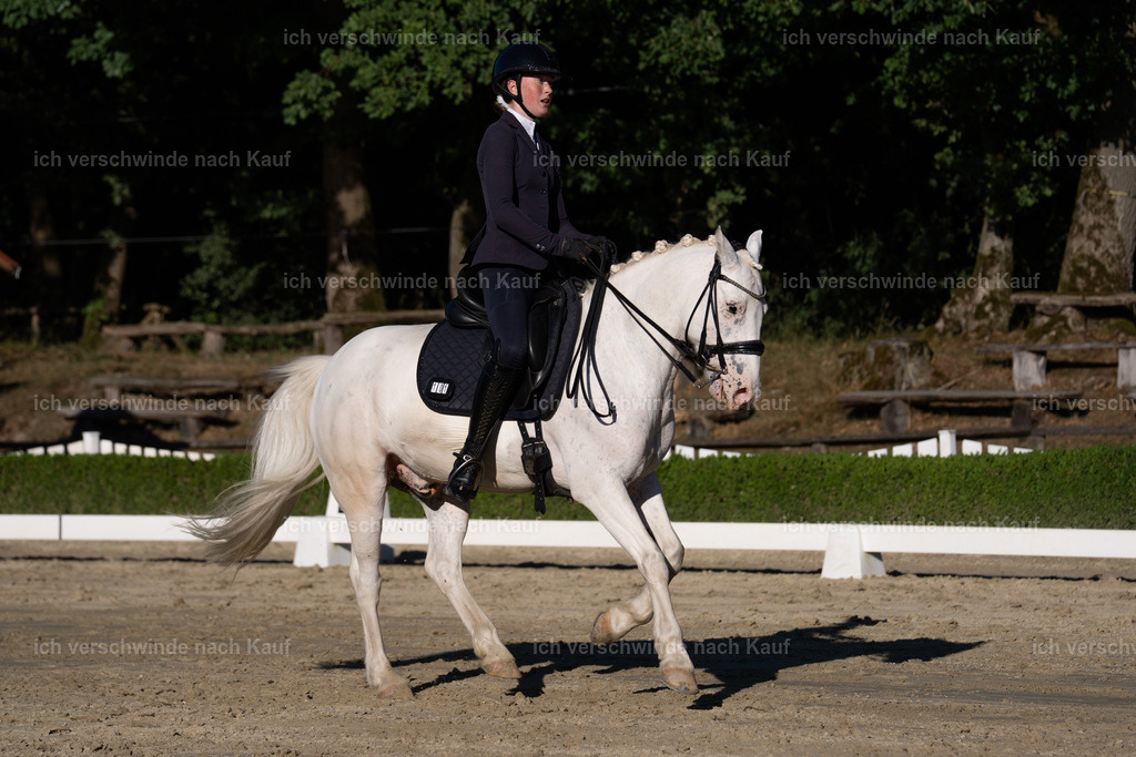 WM_DR_101_sinafilmart_IN04718 | working equitationturnier fotograf videograf stoibphotography marixx film working equitation deutschland reitsport turnierfotografie eventfotografie equestrian events