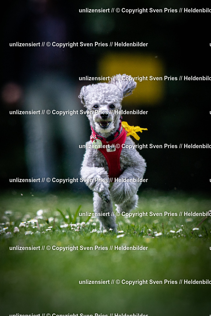 Sven Pries | 2025-05-29 - Pudelrennen KA-Durlach - Realisiert mit Pictrs.com